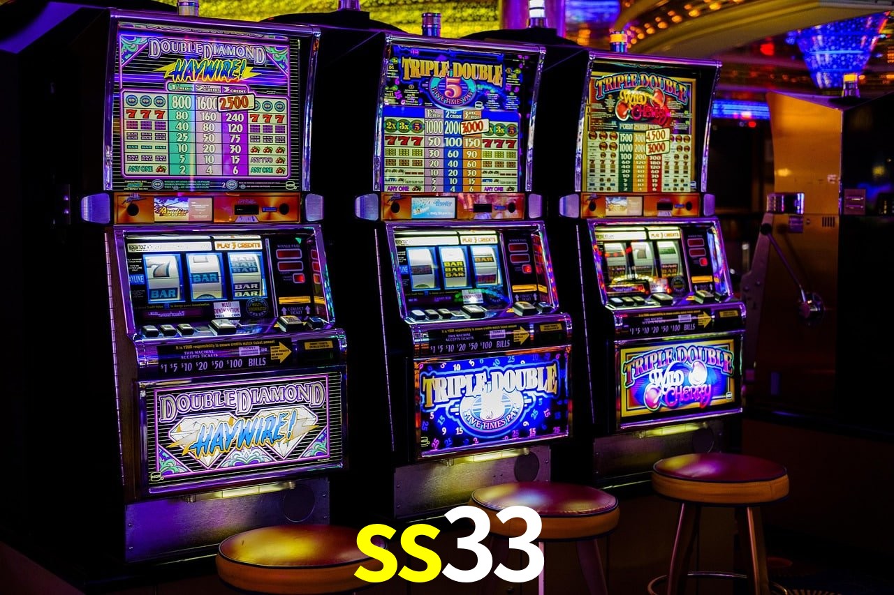 Programa VIP ss33