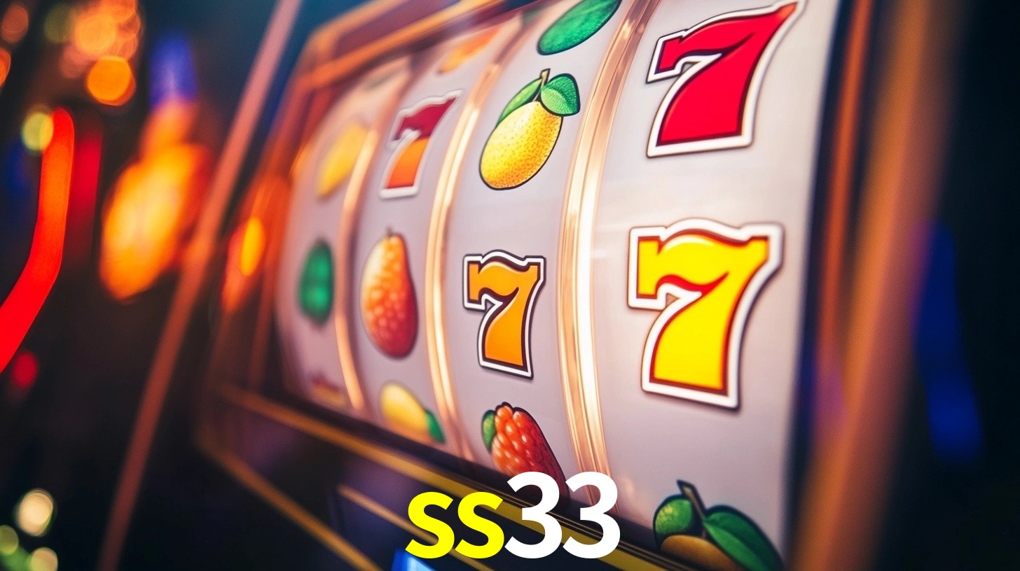 ss33 App Interface