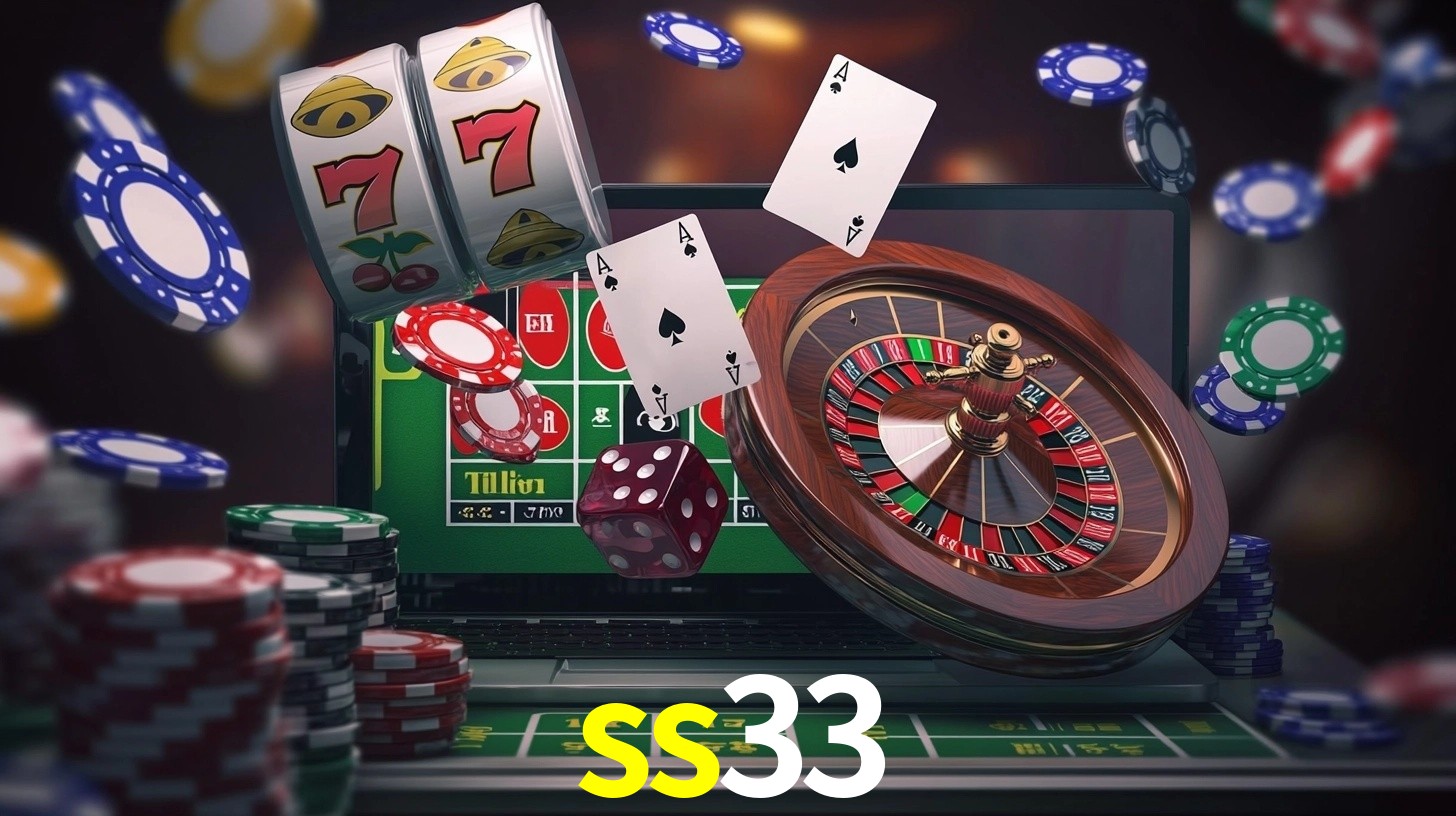 Premium Interface ss33